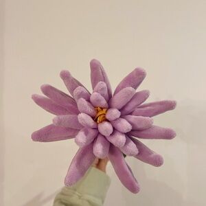 CJ Hendry Flower Shop bloom